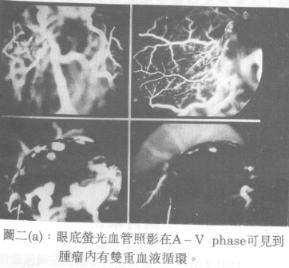 image003.jpg (14820 �Ӧ줸��)