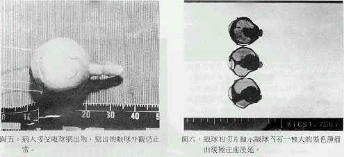 image006.jpg (21345 �Ӧ줸��)