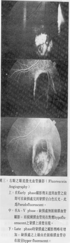 image008.jpg (32133 �Ӧ줸��)