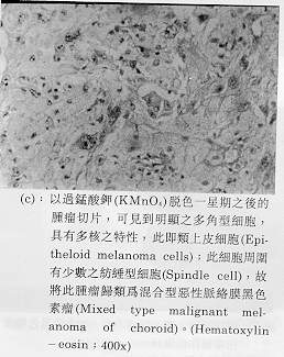 image013.jpg (21401 �Ӧ줸��)