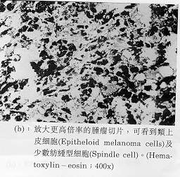 image014.jpg (23427 �Ӧ줸��)