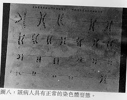 image015.jpg (11282 �Ӧ줸��)