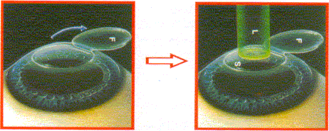 �Ǥ��l����p�g��N��